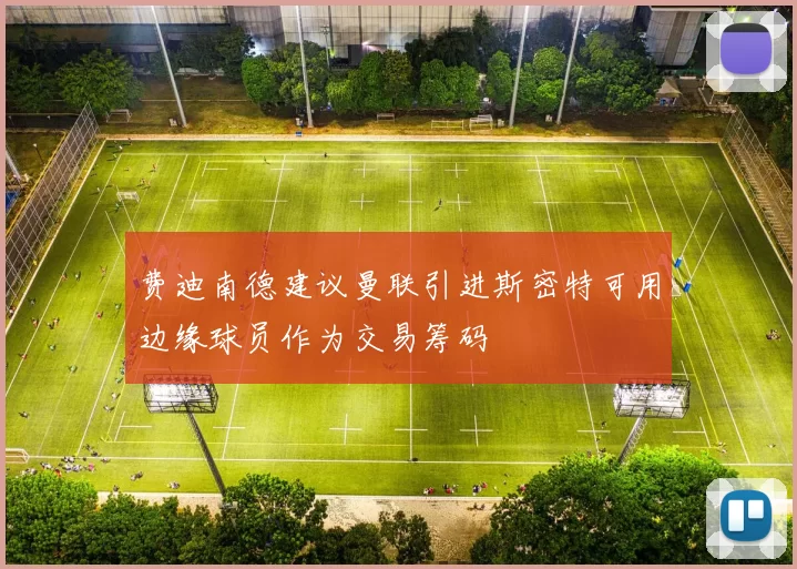 费迪南德建议曼联引进斯密特可用边缘球员作为交易筹码