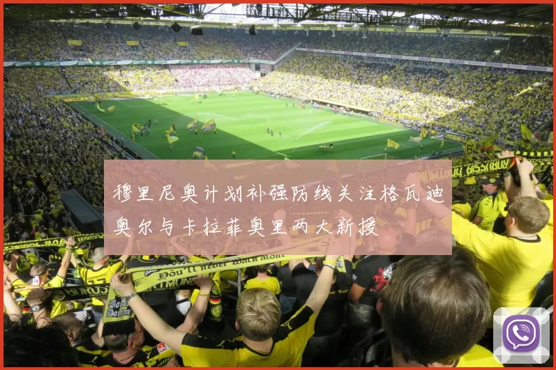 穆里尼奥计划补强防线关注格瓦迪奥尔与卡拉菲奥里两大新援